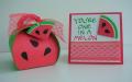 2015/07/07/watermelon_curvy_keepsake_and_card_by_lisa808.JPG