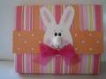 2007/03/31/Orange_and_Pink_Bunny_Card_Caddy_by_stuckonstamping.JPG