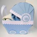 2010/06/17/baby_carriage_side_by_Kaleen.jpg