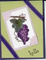 2007/06/25/grapes_07_by_chicoreco.jpg