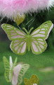 2009/08/24/butterfly-mobile-11_by_florascrap.gif