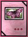 2004/09/01/8397AA_pink_butterfly.JPG