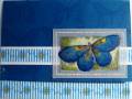 2006/04/10/Embossed_Butterfly_by_Dig_This_Stamper.jpg