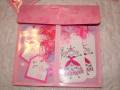 2005/12/01/Pretty_Princess_in_Pink_Pouch_by_havefunstampin.jpg