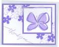 2006/06/12/Butterfly_Thank_You_by_abaker322.jpg