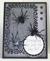2009/08/06/creeping_by_to_say_hello_spider_card_by_airbornewife_2_by_airbornewife.JPG