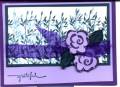 2006/02/16/lavender_field_by_jojot.jpg