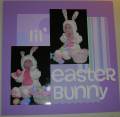 2008/01/25/lil_easter_bunny_by_straw.JPG