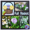 2017/03/07/Flower_basket_full_dmb_sm_by_dawnmercedes.jpg