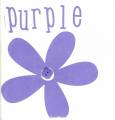 6x6_Purple