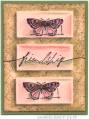 2005/03/05/4782friendship-butterfly-in-pnk-grn-Juliet-march-05.jpg