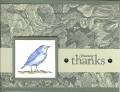 Bird_thank