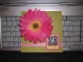 2006/07/16/daisy_card_004_by_a_place_for_ink.jpg