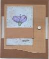 2005/12/07/flower_canvas_card_in_brown_and_blue_by_sunnywl.jpg