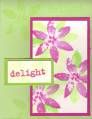 delight_by