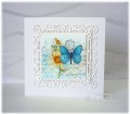 2015/10/30/butterfly_watercolor_SU_garden_collage_poppy_stamps_claudette_frame_SB_majestic_elements_card_cindy_gilfillan_by_frenziedstamper.jpg