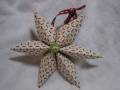 2006/12/01/Star_Ornament_12_02_2006a_1_by_stampin_andrea.JPG