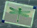 2004/07/06/3823dragonfly_glitter_puzzle.jpg