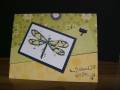 2007/01/07/Dragonfly_Thank_You_by_ArcticStampDiva.JPG