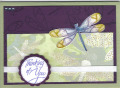 2013/06/23/Dragonfly_card_by_KMay.jpg