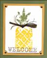 2007/07/30/Pineapple_Welcome_Card_by_shastess.jpg