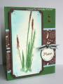2007/05/31/Peaceful_Cattails_by_cmf1216.jpg