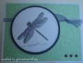 2008/08/05/dragonfly_wishes_by_jessicaluvs2stamp.jpg