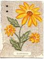 2007/01/28/Daisy_with_cheesecloth_by_Stampin_Granny.jpg