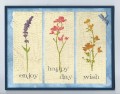 2016/08/25/wildflower_trio_2016_by_happy-stamper.jpg