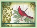 2009/02/08/Not_for_Christmas_Cardinal_by_vlstrs.jpg
