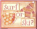 Surf_or_Sk
