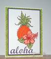 Aloha_Pine