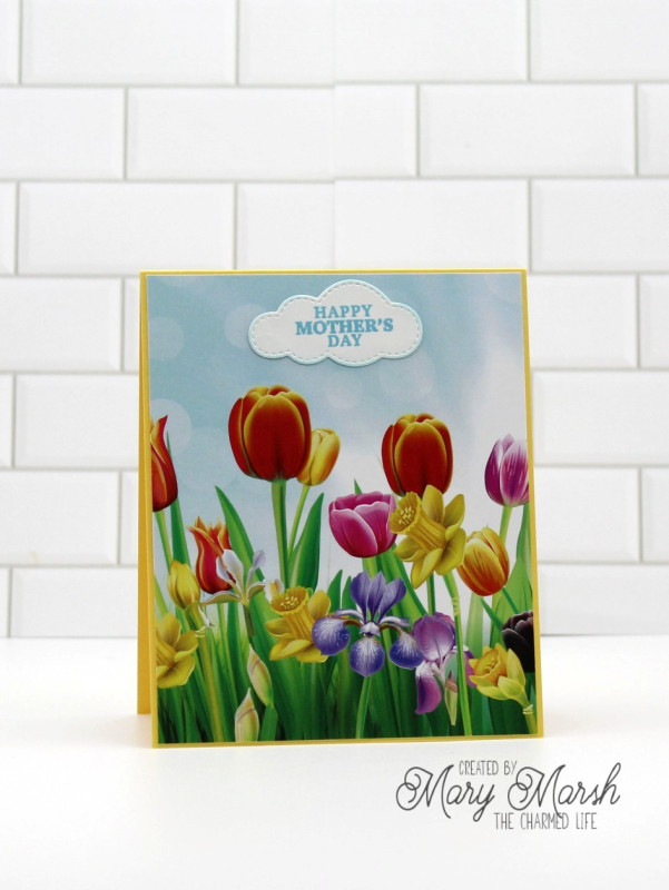 Mothers Day Tulips By Maryr917 At Splitcoaststampers