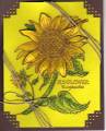 2005/08/06/Tuscan_Sunflower_SAM_by_Sherlie.jpg