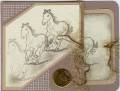 2005/08/27/Horse_Birthday_Card_AUGVSNE_by_cpw3431.jpg