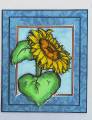 2005/08/29/Sunflower_by_itchingtoink.jpg