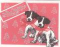 2005/11/06/Holiday_Dogs_by_Chatty_Cathy_25.jpg
