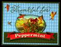 2006/01/06/Thankful_for_Peppermint1_JANVSNA_by_clanderson.jpg