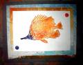 2006/02/13/Butterfly_fish_square_by_ninatar.jpg