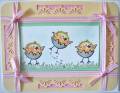2006/04/04/Happy_Easter_Chicks_by_mom5boys.JPG