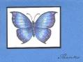 2006/06/14/chf_butterfly_by_allamericanstampers.jpg