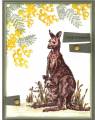 2006/07/02/Welcome_to_a_New_Aussie_by_cardsbysue.JPG
