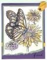 2006/07/22/Daisy_Butterfly_by_up4stampin2.jpg