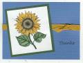 2006/10/05/TAC_Sparkling_Sunflower_by_JWheeler.jpg