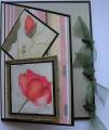 2007/01/26/angle_flowers2_by_Snellybelle.JPG