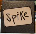 Spike_s_b-