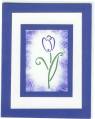 2007/02/03/blue_tulip_card_by_Mariellen.jpg