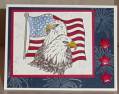 2007/06/27/Old_Glory_and_Eagles_by_Clownmom.jpg