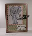 2007/11/16/CK_Thinking_of_You_Elephant_AI_by_Cammie.jpg