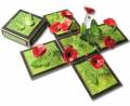 2008/03/14/POPPIES_450_by_magic-boxes.jpg